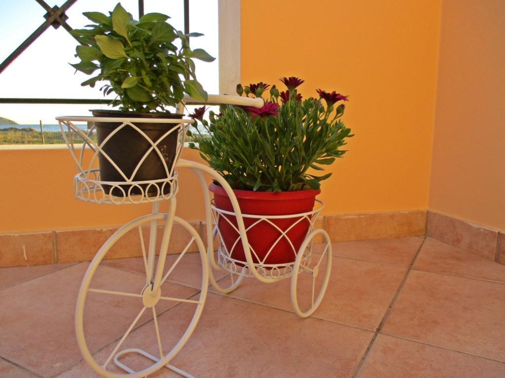 Alkiones Apartamento Plati  Exterior foto