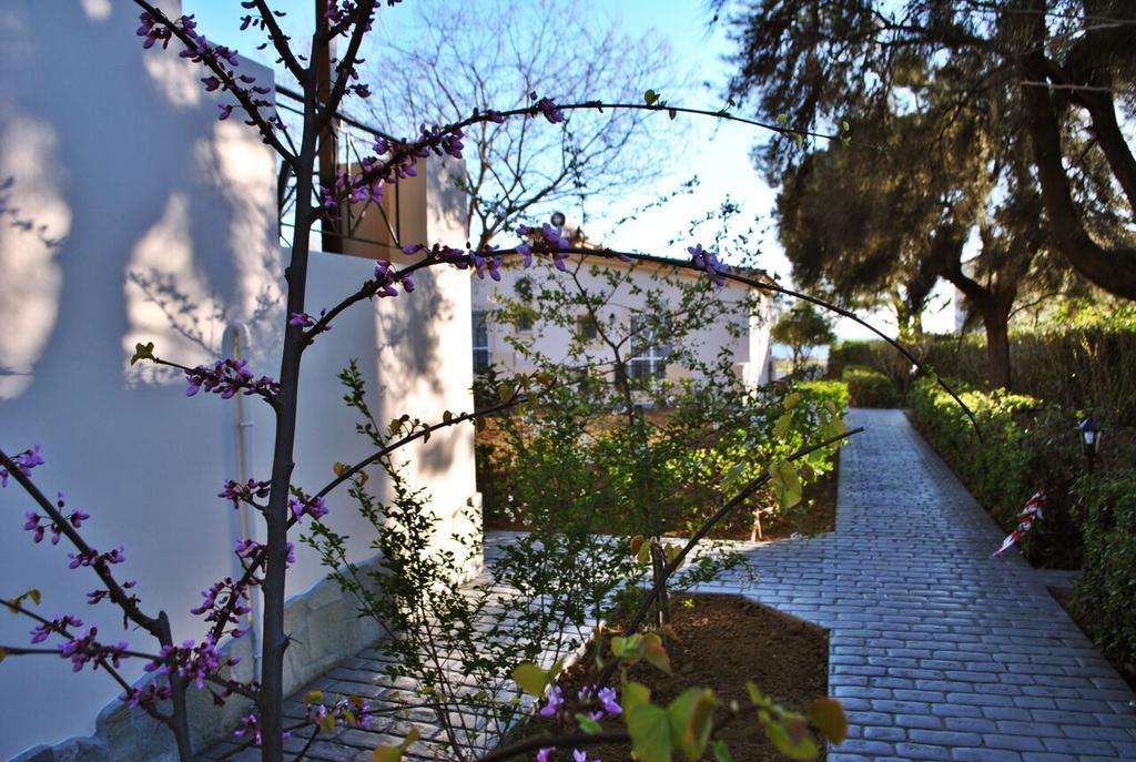 Alkiones Apartamento Plati  Exterior foto